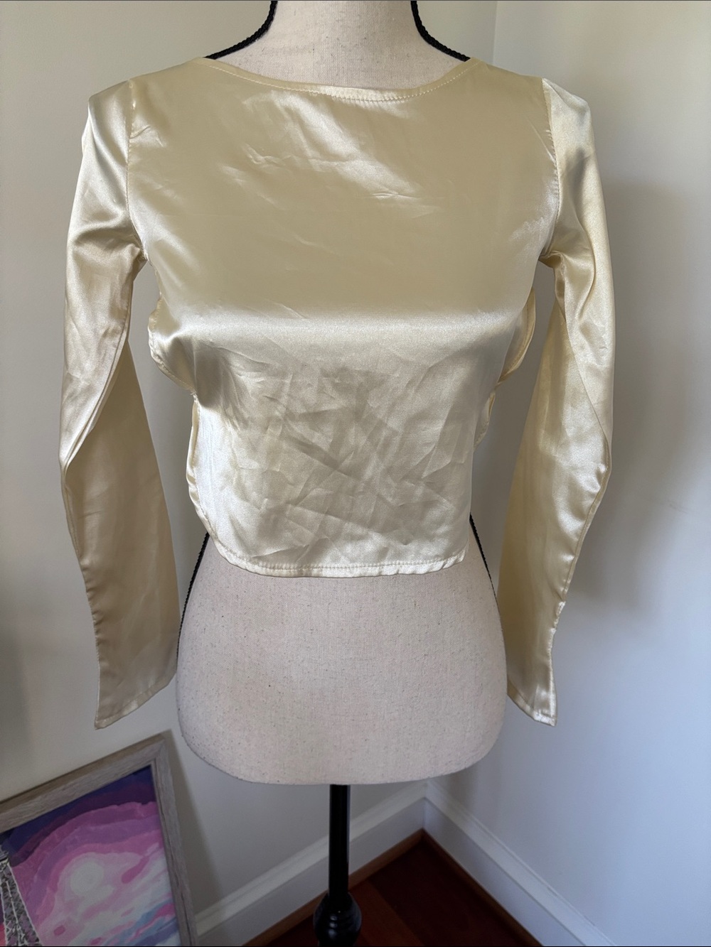 Silky Long Sleeve Crop Top in Champagne